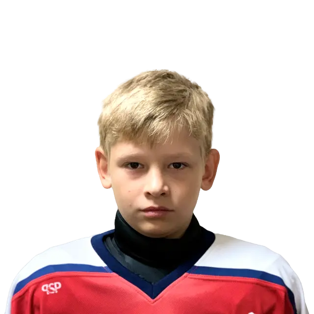 Снигирев Артем