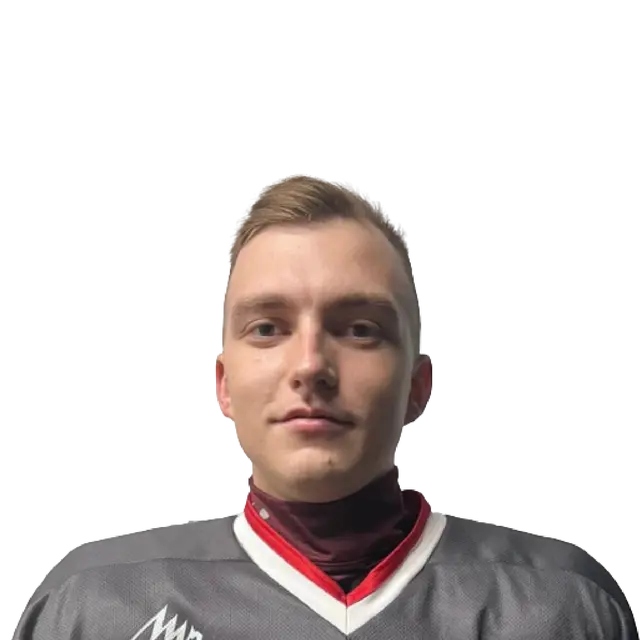 Лебедев Сергей Ильич