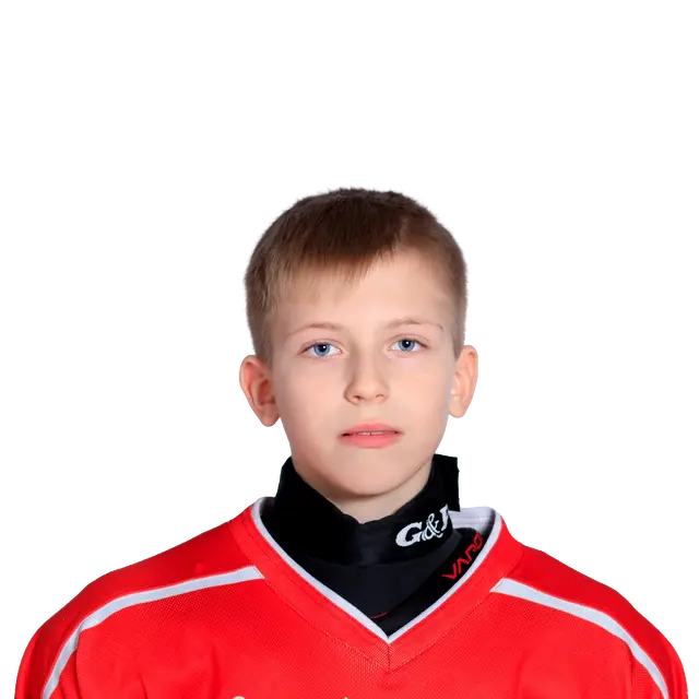 Гриценко Денис