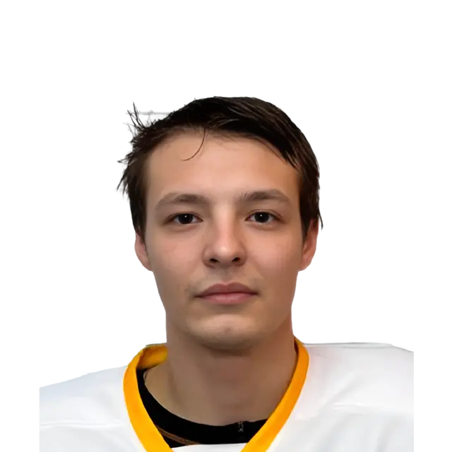 Ледышев Константин Сергеевич