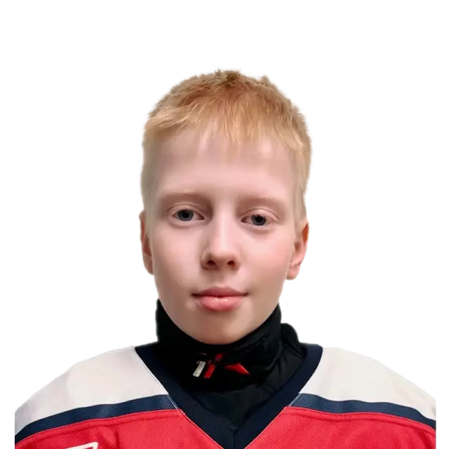 Аникин Артем