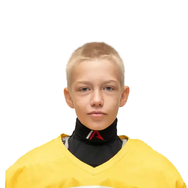 Боровиков Андрей