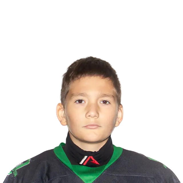 Дворников Александр