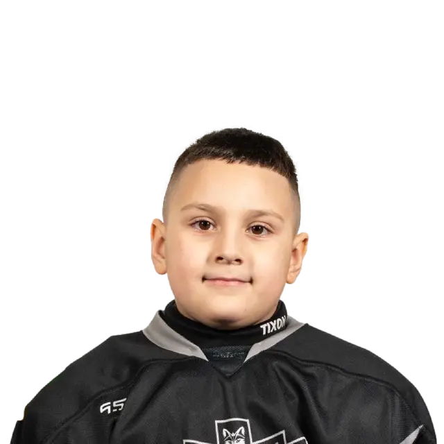 Мельников Демид