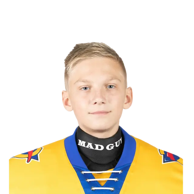 Никулин Михаил