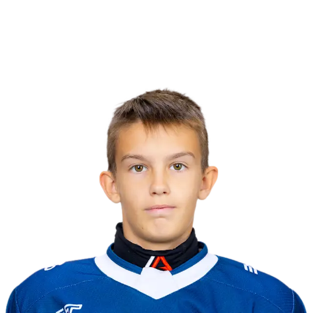 Степин Илья