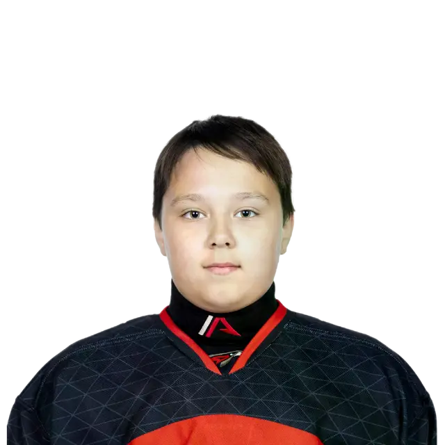 Воеводин Яромир
