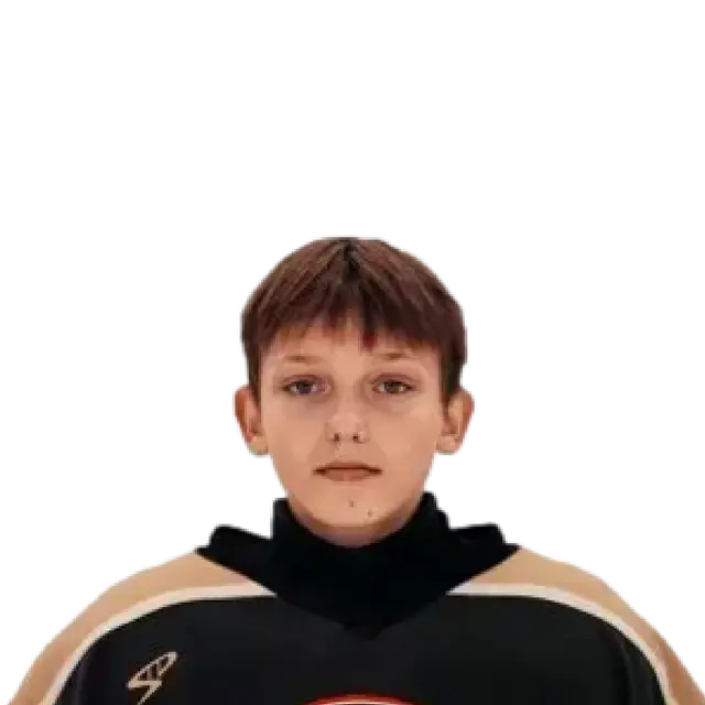 Колесников Вадим