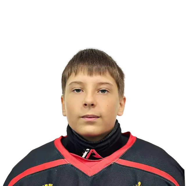 Стрижак Лев