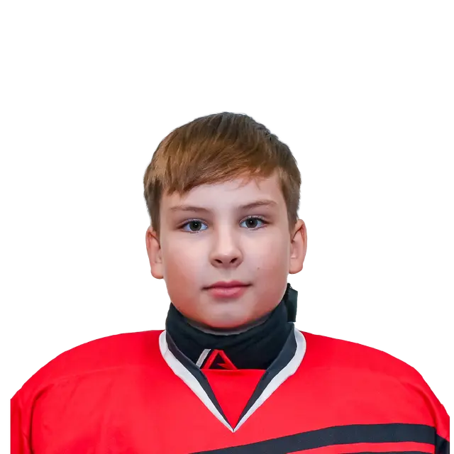 Зенкин Дмитрий Денисович