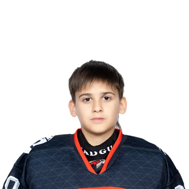 Новиков Роман Александрович