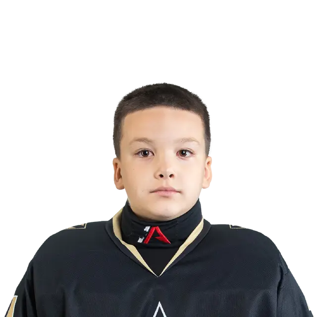 Мельников Алексей Олегович