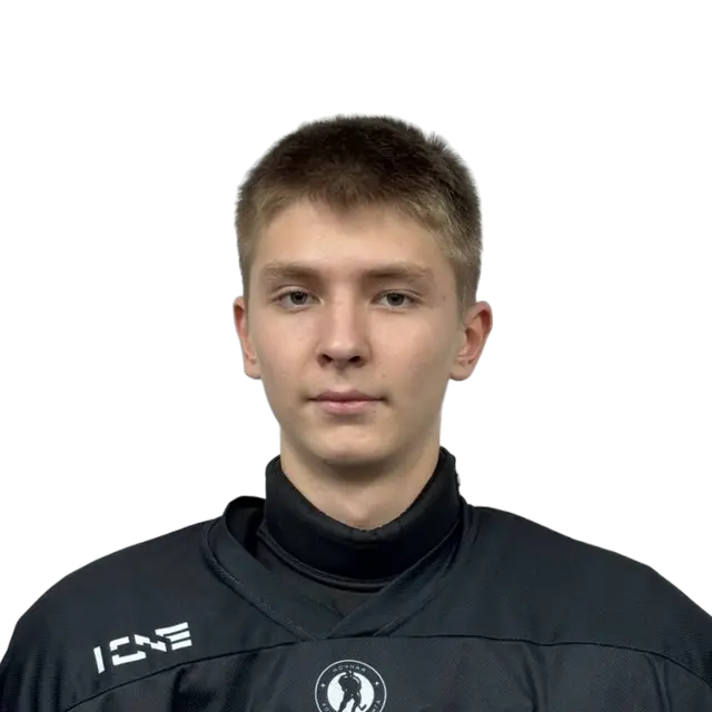 Sosnin Dmitriy